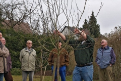 Winterschnitt-2008-05
