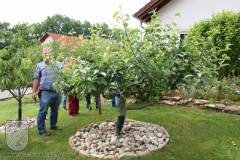 Sommerschnitt-2008-01