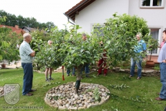 Sommerschnitt-2008-06