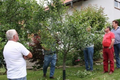 Sommerschnitt-2008-18