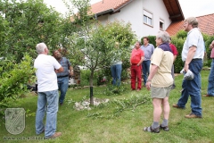 Sommerschnitt-2008-19