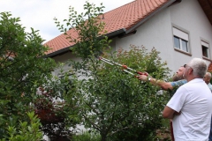 Sommerschnitt-2008-20