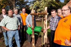 Baumpflanzung-2009-37