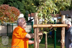 Baumpflanzung-2009-39