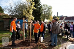 Baumpflanzung-2009-41