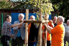 Baumpflanzung-2009-42