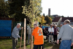 Baumpflanzung-2009-57