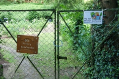 cimg0491_800