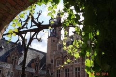 Belgien-2014-071