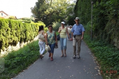 ogv_bodensee_15_-003_800