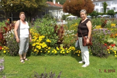 ogv_bodensee_15_-009_800