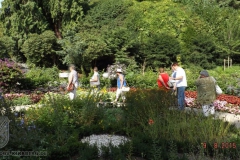 ogv_bodensee_15_-063_800