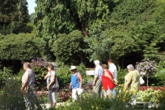 ogv_bodensee_15_-064_800