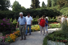 ogv_bodensee_15_-065_800