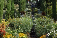 ogv_bodensee_15_-066_800