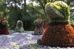 ogv_bodensee_15_-072_800