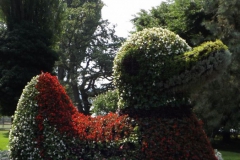 ogv_bodensee_15_-073_800