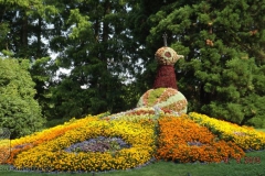 ogv_bodensee_15_-074_800