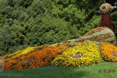 ogv_bodensee_15_-075_800