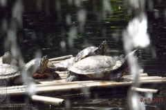 ogv_bodensee_15_-085_800