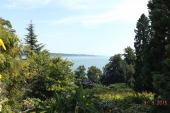 ogv_bodensee_15_-092_800