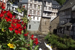 8_mondschau-006_800