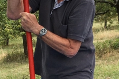 Mirabellen-2019-05