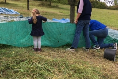 Mirabellen-2019-14