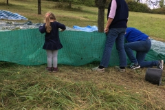 Mirabellen-2019-15