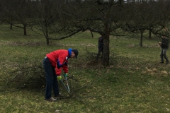 Baumschnitt-2020-Einsatz-01