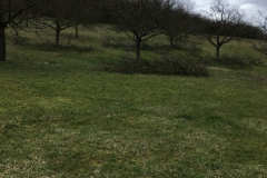 Baumschnitt-2020-Einsatz-02