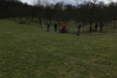 Baumschnitt-2020-Einsatz-04