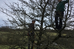 Baumschnitt-2020-Einsatz-05