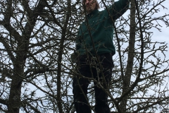 Baumschnitt-2020-Einsatz-06