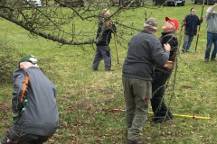 Baumschnitt-2020-Einsatz-09