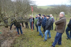 Baumschnitt-2020-Praxis-08