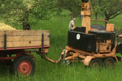 Baumschnitt-2020-Häckseleinsatz-01