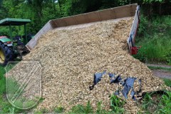 Baumschnitt-2020-Häckseleinsatz-03