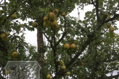 Erntezeit-2022-05