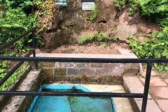 Kraeutergarten-2022-10