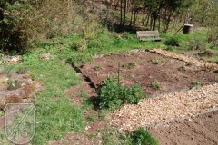 Kraeutergarten-2022-14