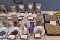 Erntedankfest_2023-20