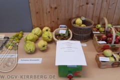 Erntedankfest_2023-32