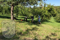 Gelbmoestler_2023-02