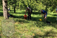 Gelbmoestler_2023-03