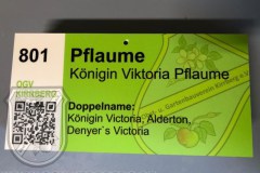 Baumbeschilderung_2023-02