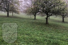 Baumbeschilderung_2023-03