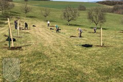 Baumpflanzung-2023-06