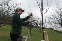 Baumpflanzung-2023-08