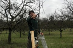 Baumpflanzung-2023-09